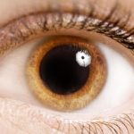 Herbert Natural Healing | Early Detection and Prevention: The Sign Dilated Pupils as a Neonatal Marker of Subclinical Adrenal Insufficiency