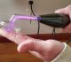 The Violet Ray Used in Treating Bacterial Infections by Dr. Jack Herbert