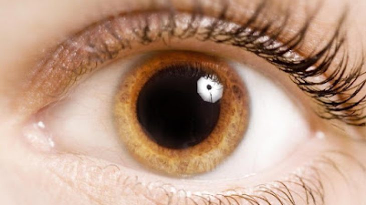 Herbert Natural Healing | Early Detection and Prevention: The Sign Dilated Pupils as a Neonatal Marker of Subclinical Adrenal Insufficiency